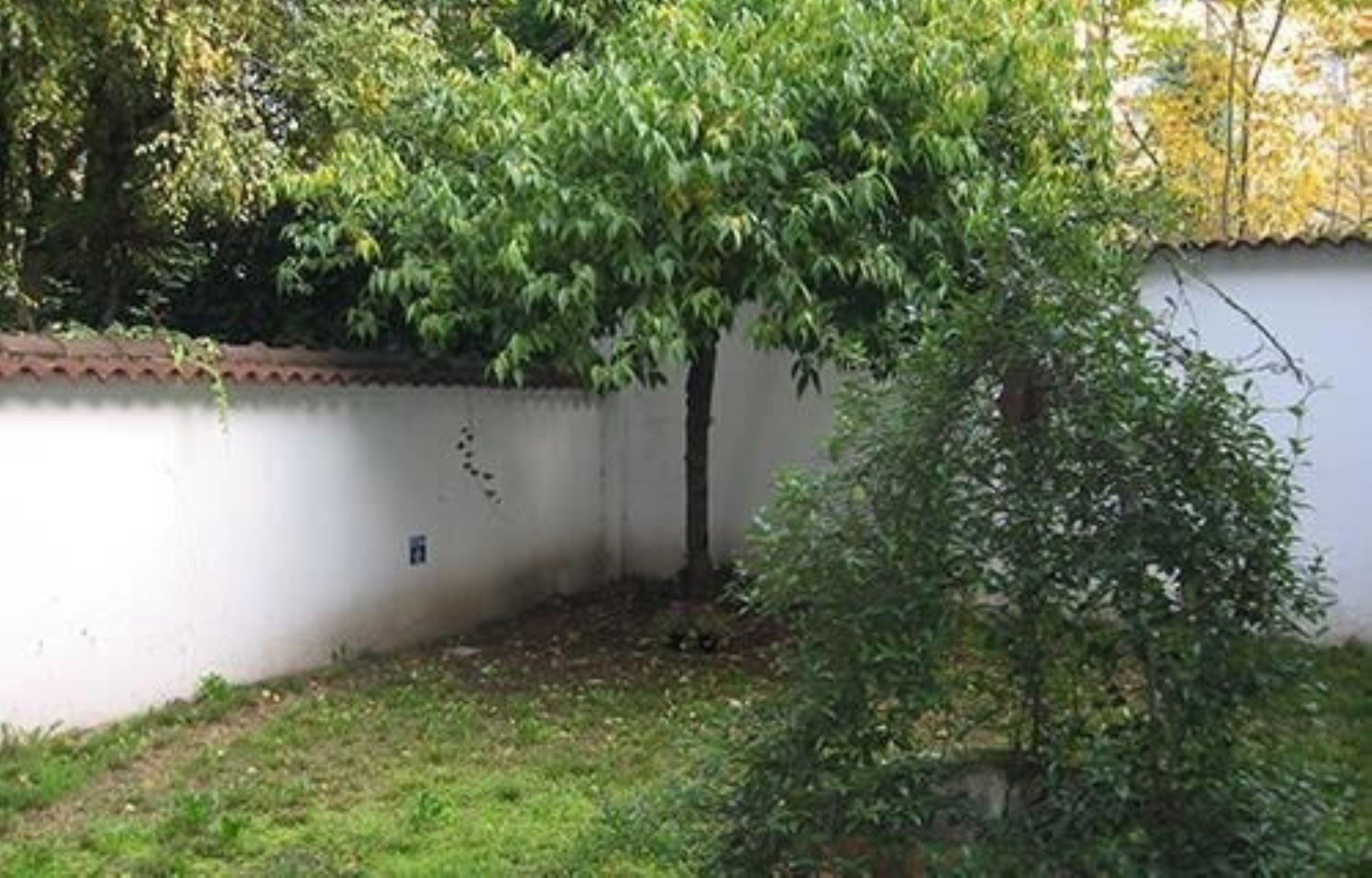 Casa Calicantus — Photos 2